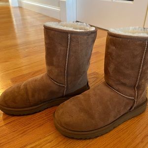 Classic Chestnut Short UGG boot